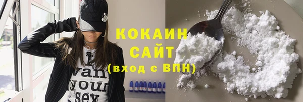 крисы Белокуриха