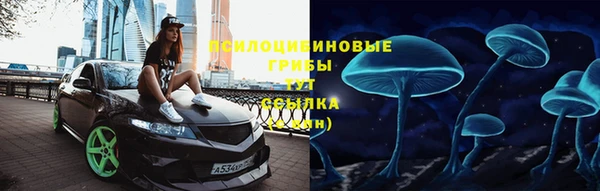 крисы Белокуриха