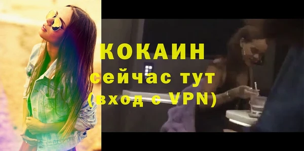 крисы Белокуриха
