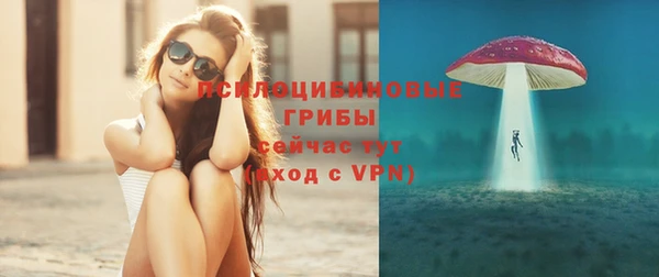 крисы Белокуриха