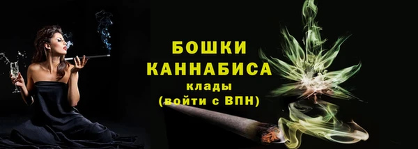 крисы Белокуриха