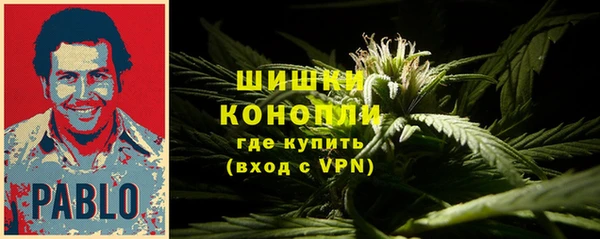 крисы Белокуриха