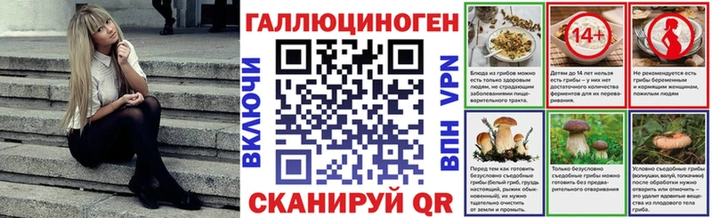 Купить  Никольск  Галлюциногенные грибы Magic Shrooms 